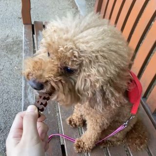 블루민님이 올린 리뷰 사진 3