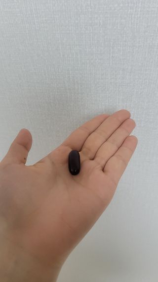 [몸엔용] 에버업 멀티비타민&미네랄, 눈건강 루테인 혈행건강 오메가3, 면역 프로바이오틱스 3종 택1 — 5점을 준 리뷰어가 2022년 4월 올린 사용 사진