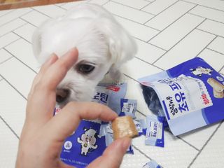 두부님이 올린 리뷰 사진 2