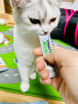 kiralee님이 올린 리뷰 사진 3