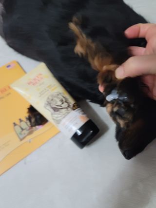 알건맘님이 올린 리뷰 사진 3