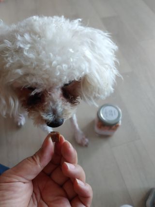 페페로니 진짜 오메가3 연어+소고기 180g+180g — 5점을 준 리뷰어가 2021년 7월 올린 사용 사진