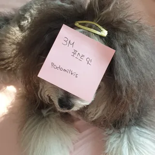 3M 포스트잇 NEW 포스트-잇® 노트 컬러팩 컬렉션 — 5점을 준 리뷰어가 2022년 11월 올린 사용 사진