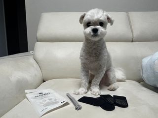 토블리님이 올린 리뷰 사진 1