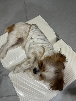 다즐링님이 올린 리뷰 사진 2