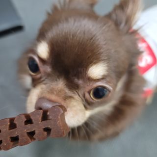 나초단맘님이 올린 리뷰 사진 1