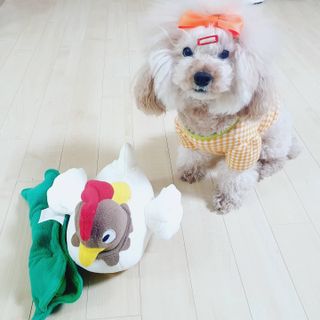 코코님이 올린 리뷰 사진 3