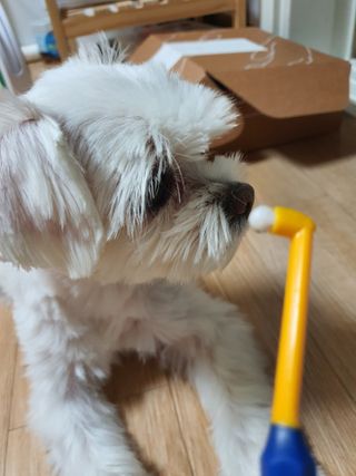 뽀오오옹님이 올린 리뷰 사진 3