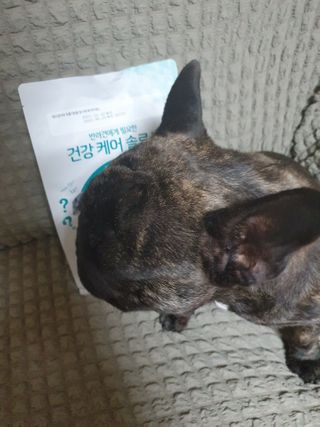 탱크돌콩님이 올린 리뷰 사진 2