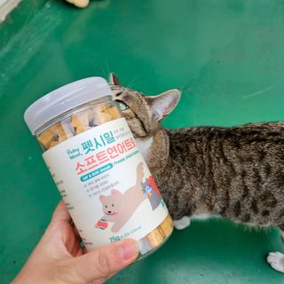 [펫시밀] 원물그대로 영양듬뿍 진공동결건조 북어트릿75g,치킨트릿100g,연어트릿75g 강아지 고양이 간식 — 5점을 준 리뷰어가 2023년 6월 올린 사용 사진