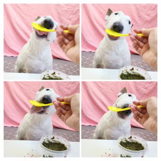 콩콩님이 올린 리뷰 사진 2