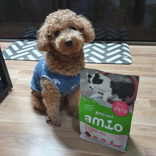 기린짱맘님이 올린 리뷰 사진 1