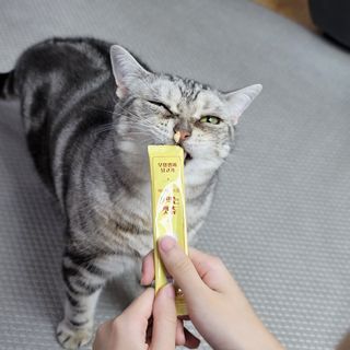 페페로니 잘 먹는 캣츄 - 무항생제 닭고기 24개입 — 5점을 준 리뷰어가 2021년 7월 올린 사용 사진