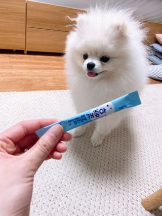 chocoamin님이 올린 리뷰 사진 3