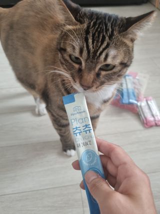 별빛달숲님이 올린 리뷰 사진 2