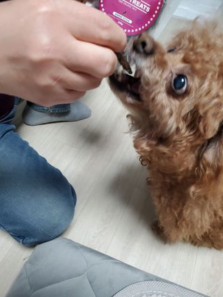 준맘님이 올린 리뷰 사진 2