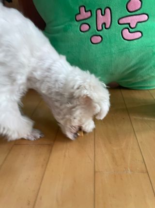 하다해님이 올린 리뷰 사진 2