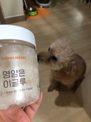 키티맘님이 올린 리뷰 사진 4