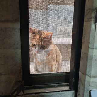임토리님이 올린 리뷰 사진 3