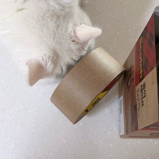 jyerin님이 올린 리뷰 사진 1