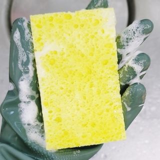 water님이 올린 리뷰 사진 1