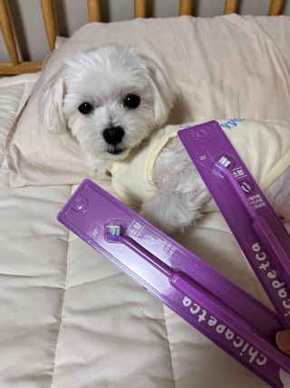 하리이님이 올린 리뷰 사진 1