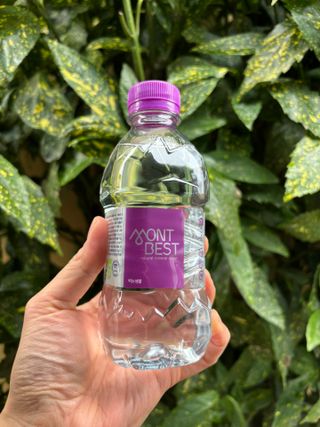 몽베스트 [MONTBEST] 330mL 20병 — 5점을 준 리뷰어가 2024년 2월 올린 사용 사진