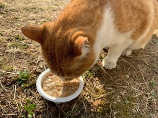 요미님이 올린 리뷰 사진 3