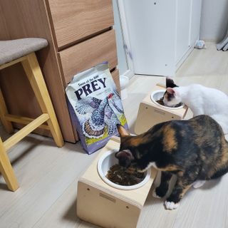 당고경단님이 올린 리뷰 사진 1