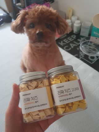 페페로니 진짜 프리바이오틱스 치즈+치즈고구마 180g+180g — 5점을 준 리뷰어가 2021년 7월 올린 사용 사진