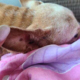 유진오님이 올린 리뷰 사진 4