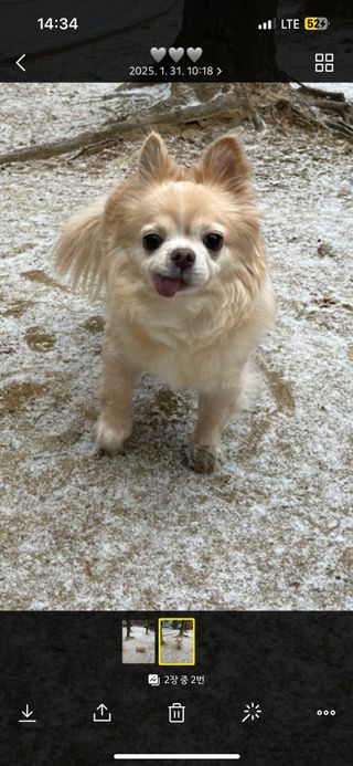 Lucy님이 올린 리뷰 사진 3