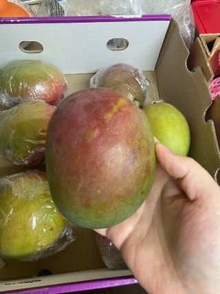 거져줄께잘사가님이 올린 리뷰 사진 4