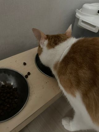 Hhaby님이 올린 리뷰 사진 1
