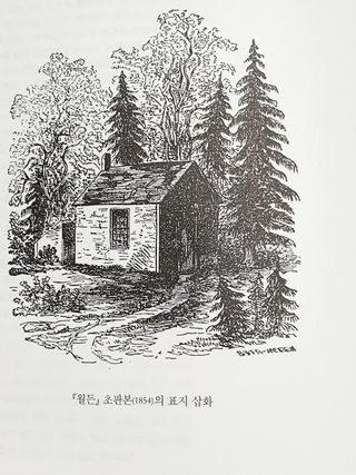 꿈이야님이 올린 리뷰 사진 2
