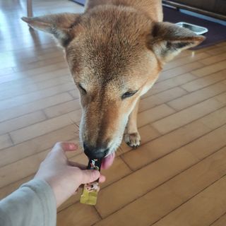 루비님이 올린 리뷰 사진 2
