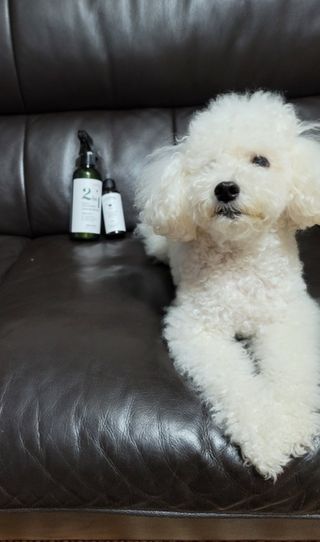 피치피치님이 올린 리뷰 사진 2