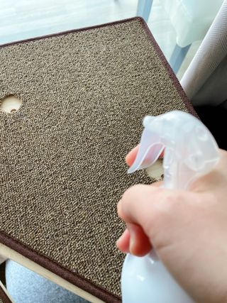 햄미이모님이 올린 리뷰 사진 3