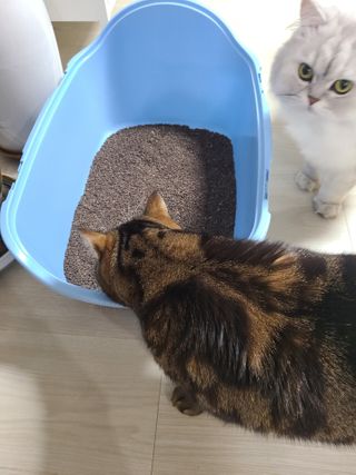 나윤나윤님이 올린 리뷰 사진 1