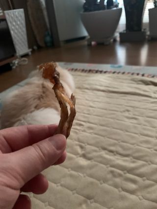 별이빛나길님이 올린 리뷰 사진 3
