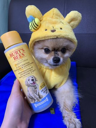 Ariel님이 올린 리뷰 사진 2
