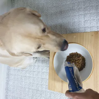 비운마음님이 올린 리뷰 사진 2