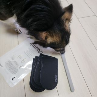 꽃수니어니님이 올린 리뷰 사진 2