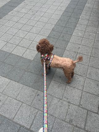 프롬님이 올린 리뷰 사진 1