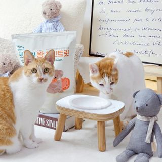 jenny님이 올린 리뷰 사진 1