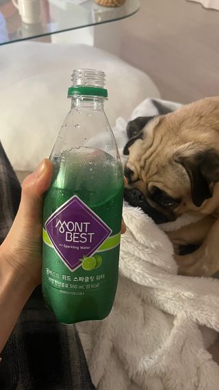몽베스트 Montbest with Sparkling water Lime20병 — 5점을 준 리뷰어가 2023년 1월 올린 사용 사진