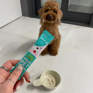 펫시랩 반려견용 액상 프리바이오틱스 아쿠아펫 — 5점을 준 리뷰어가 2021년 1월 올린 사용 사진