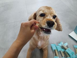 찬이애비님이 올린 리뷰 사진 1