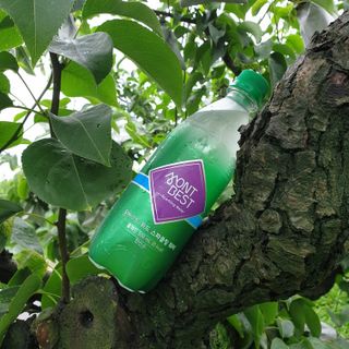 몽베스트 Montbest with Sparkling water Plain 20병 — 5점을 준 리뷰어가 2022년 7월 올린 사용 사진