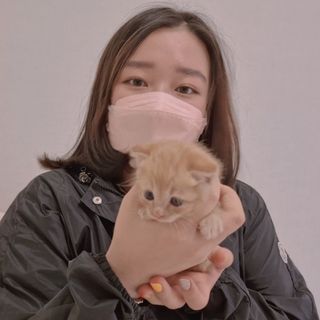 이수진님이 올린 리뷰 사진 1